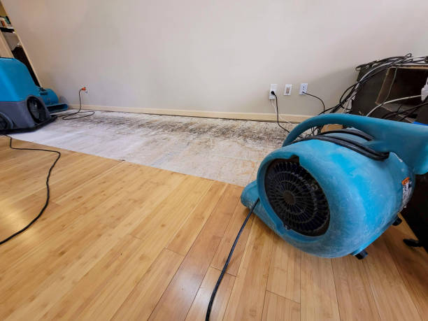 Professional Flood Damage Cleanup technician working in Oracle, AZ